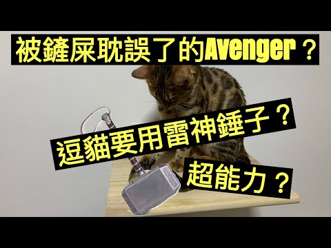 解鎖超能力｜借雷神索爾的錘子給Hana玩一下｜一位被鏟屎耽誤了的Avenger｜貓咪的成長日記EP14｜