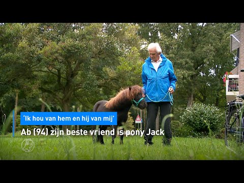 Ab (94) zijn beste vriend is pony Jack: 'Ik hou van hem en hij van mij' | Hart van Nederland