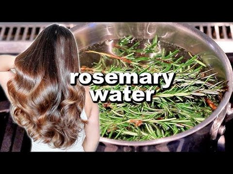 Rosemary water for hair fall and hair growth