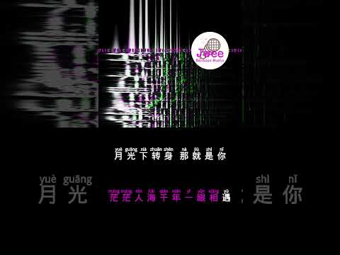 蔡恩雨 《如果可以》 Pinyin Lyrics 动态拼音歌词 shorts