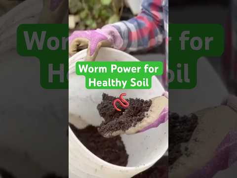 Turn Winter Waste into Soil Gold with Worm Power!