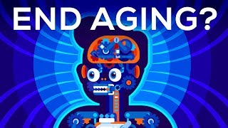 Why Age? Should We End Aging Forever?