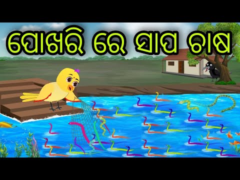 ପୋଖରି ରେ ସାପ ଚାଷ | Pokhari Re Sapa Chasa | Tiki Chadhei Gapa | Odia Chadhei Gapa | New Story