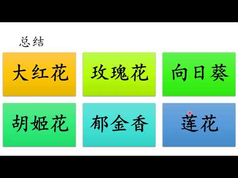 学前教育班 Prasekolah 幼儿园 Preschool | Chinese | Theme 主题 : Bunga 花