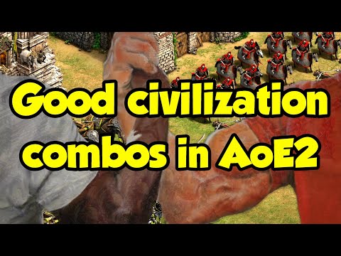 Good ally civilization combos in team games (AoE2)