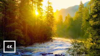 Golden Sunrise on Merced River, Yosemite | 4K Relaxing Nature Scene | Relaxing River Sounds | 6 Hour