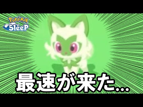 爆速の猫ちゃんが強すぎる・・・？【ポケモンスリープ】