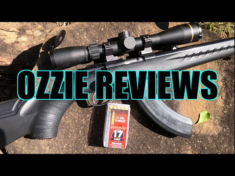 Ruger "American" Rimfire Rifle 17HMR (with accuracy testing)