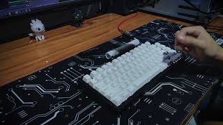 GMMK PRO l Gateron Ink Black v2 l Holee Mod Goat Stabilizers l Typing Sound Test