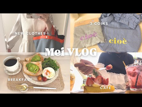 【vlog】アラフォーOL👩🏻‍💼外食多めの8days🍰🍜🥪|3coins& NOLLEY'S購入品🛍️