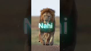 Lion Attitude shayari status Shayari status Attitude shayari #youtubeshorts#viral#shayari#shorts