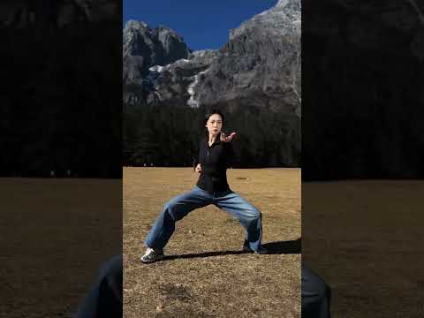 与天地共舞，每一步都自成风景 太极拳 中华武术博大精深 爱太极 武术