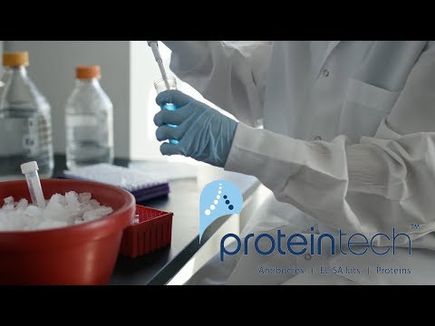 Proteintech -  A Collaborator for Scientific Research