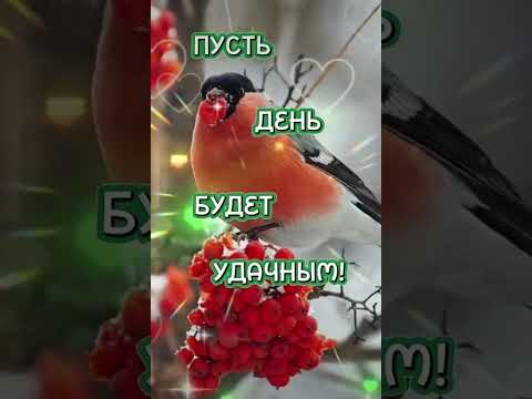 С Добрым Утром !!!