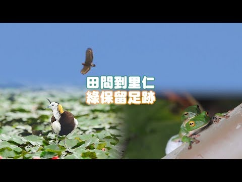 【綠色保育】田間到里仁 綠保留足跡