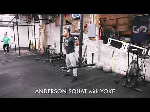 Anderson Squat (Yoke)