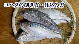 How to Fillet Kohada Gizzard Shard and Cure It with Vinegar【English subtitles】