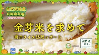 【自然派給食 金芽米を求めて】 金芽米の東洋ライスさんの本社を見学〜雜賀社長から金芽米やお米にまつわるお話を伺いました。