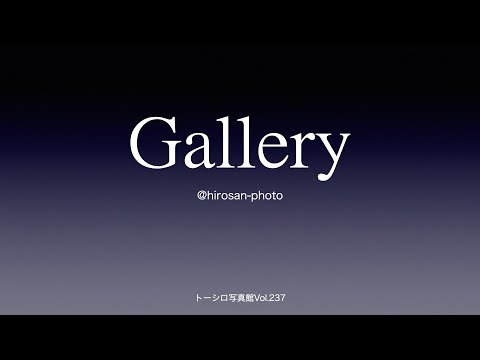 Gallery 〜 self-selection〜