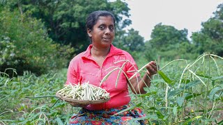 cowpea fried rice / I made cowpea  in a way that anyone would want to eat/ village kitchen recipe