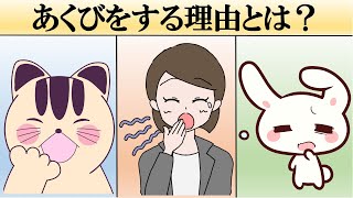 人があくびをする理由とは？【あくびの仕組み＋うつる理由】