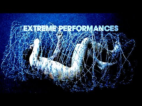 The Sick World Of Extreme Performance Art