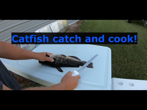 Gigging catfish at night!! Catfish Catch and Cook