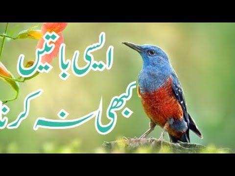 Kabhi na karna i se baatein (Never Say Thing)ایسی با تیں کبھی نہ کر نا