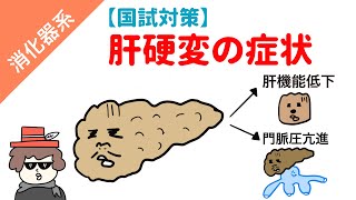 【国試対策】肝硬変と門脈圧亢進症の症状の覚え方