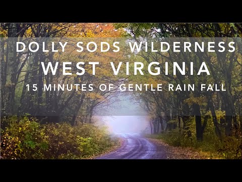 Relaxing Gentle Rain at Dolly Sods | Relax | Study | Sleep | Meditate | Focus