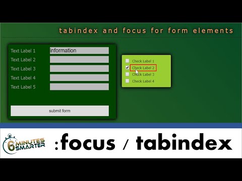 Improve Webform Usability with :focus and tabindex