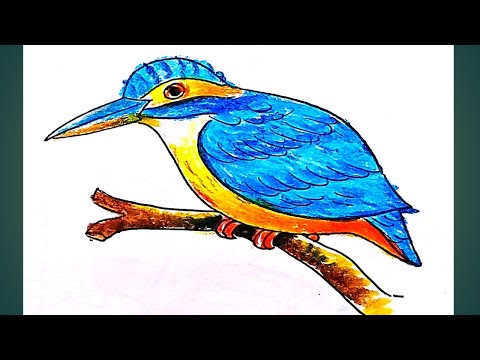 Kingfisher bird drawing step by step/#artwithartistmiltondanda/#youtubeshorts/#short