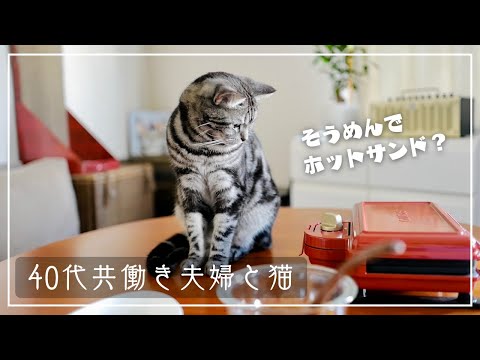 そうめんでホットサンドを作ろうとしたら、愛猫が作らせてくれませんw