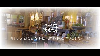 静岡県藤枝市　すろ～カフェ　モミの木　店舗紹介動画