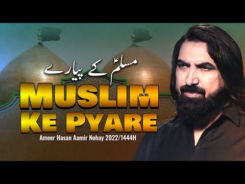 Muslim Ke Pyare Bacchon Ka Sar | Ameer Hasan Aamir 2022 | Noha Tiflan E Muslim 2022 | New Noha 2022