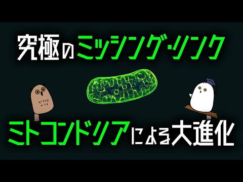 【ゆっくり解説】ミトコンドリアと真核生物の起源：生物進化最大のミッシングリンク【 古生物 / 進化 / 科学/ 生命の歴史⑥ 】