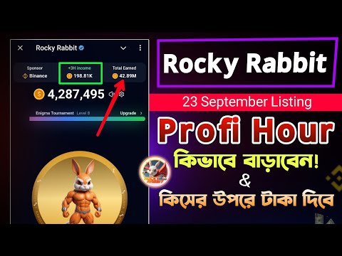 Rocky Rabbit কিসের উপরে টাকা দিবে || Rocky Rabbit Level Upgrade