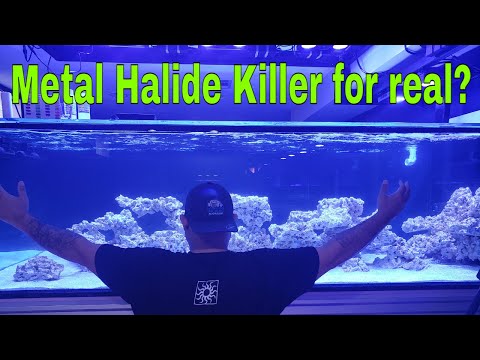 Metal Halide Killer