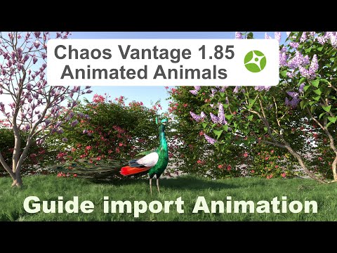 Guide: Chaos Vantage 1.85_Import Animated Animals