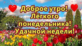 Доброе утро! Лёгкого понедельника! Удачной недели!