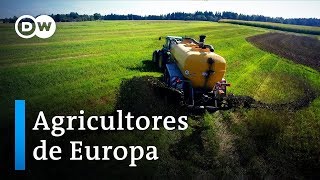 Agricultores: ¿Puede hacerse crecer el dinero? | DW Documental