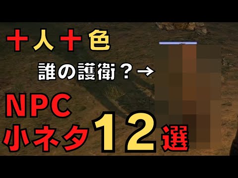 【ドラゴンズドグマダークアリズン】ちょっと面白いNPC小ネタ12選【DDDA解説】