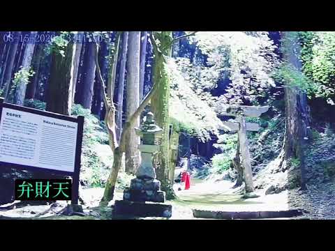 苔の美しい神社　若狭弁天江嶋神社