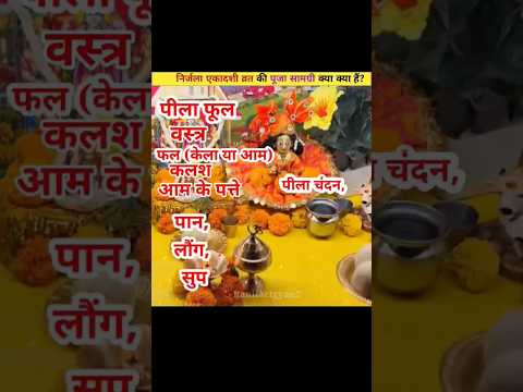 निर्जला एकादशी व्रत की पूजा सामग्री क्या क्या हैं?😱😱 #shorts #amazingfacts #yt