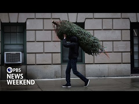 Seasonal vendors bring Christmas trees to the sidewalks of New York City