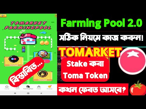 Toma Token Stake করলে লাভ হবে নাকি লস ? Tomarket New Farming pool start |Tomarket Listing date