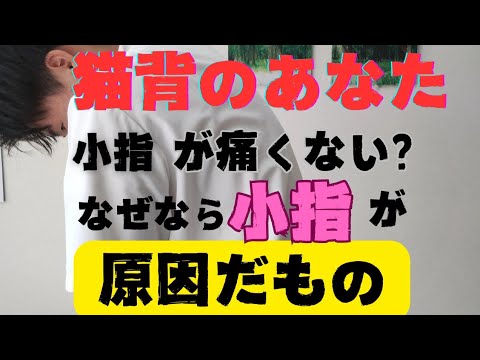 猫背治し方、背中丸くならない