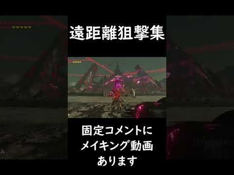 【shorts】遠距離狙撃集【ゼルダの伝説 ブレスオブザワイルド】