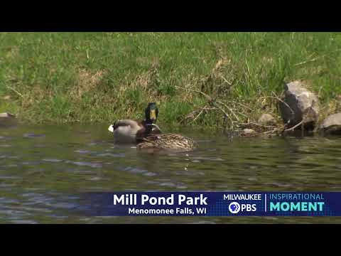 Milwaukee PBS Presents | Inspirational Moments | Mill Pond Park