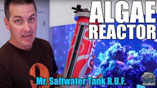 Geo's Reef ALGAE REACTORS - Mr. Saltwater Tank - Raw, Uncut, and First Impressions